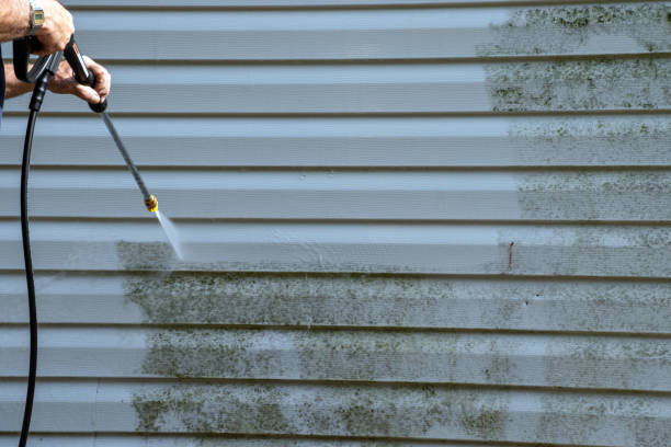 Best Residential Junk Removal  in Thruston, KY