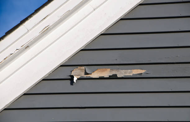 Best Shed Removal  in Thruston, KY